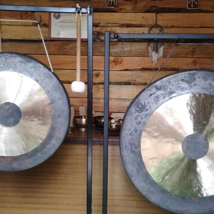 Baños de gongs